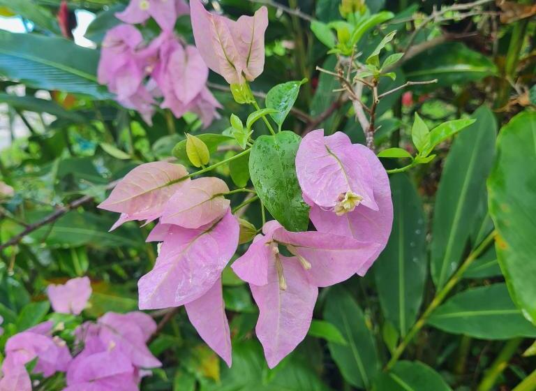 پانسیون Villa Sonrisa Casa De Huespedes