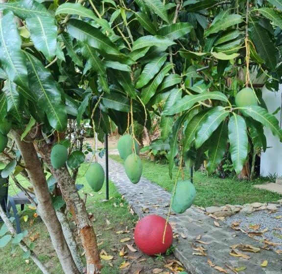 پانسیون Villa Sonrisa Casa De Huespedes