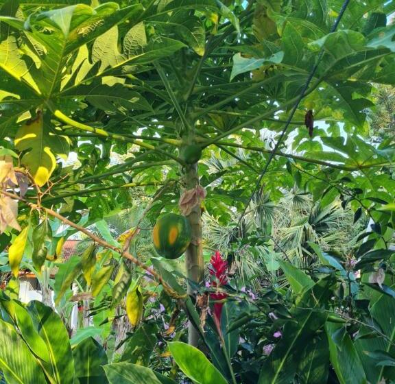 پانسیون Villa Sonrisa Casa De Huespedes