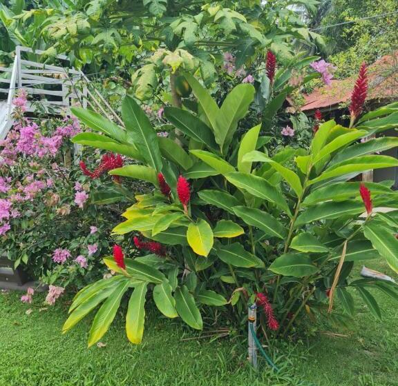 پانسیون Villa Sonrisa Casa De Huespedes