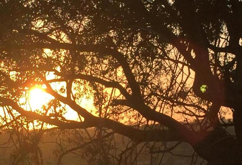 تختخواب و صبحانه Innibos Marloth Park