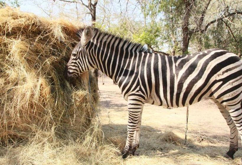 تختخواب و صبحانه Innibos Marloth Park