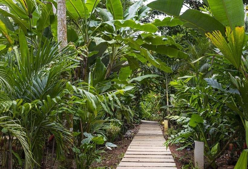 تختخواب و صبحانه La Paz Del Caribe