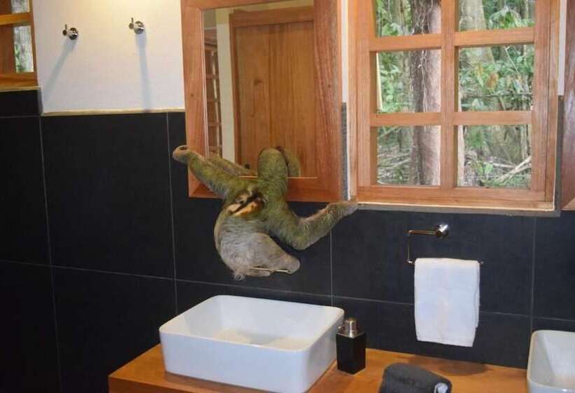 تختخواب و صبحانه La Paz Del Caribe