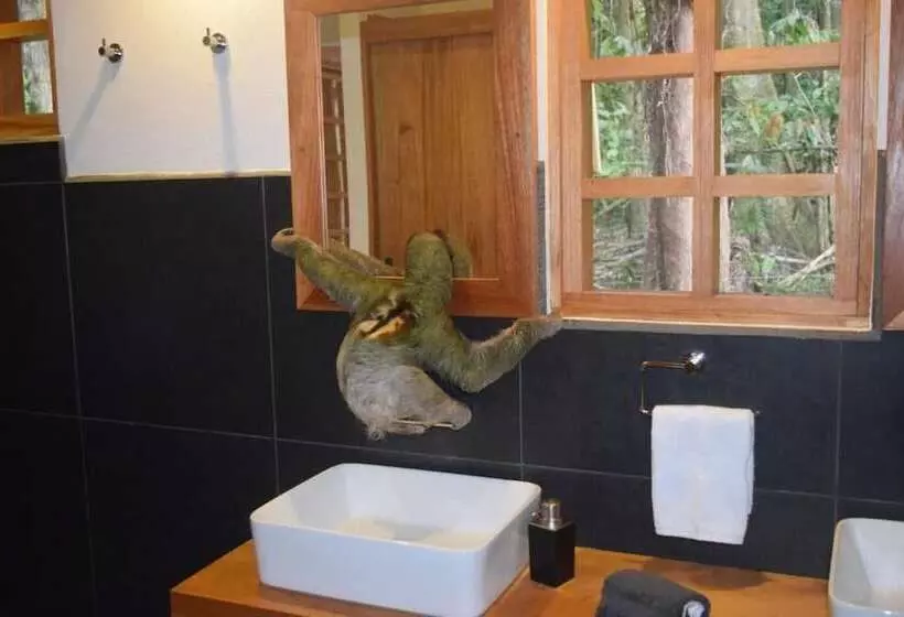 Aamiaismajoitus (B&B) La Paz Del Caribe