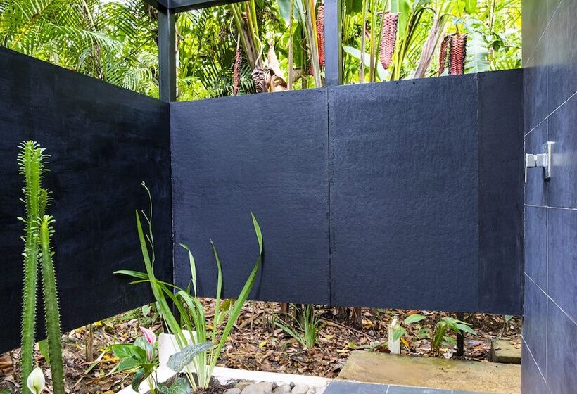 تختخواب و صبحانه La Paz Del Caribe