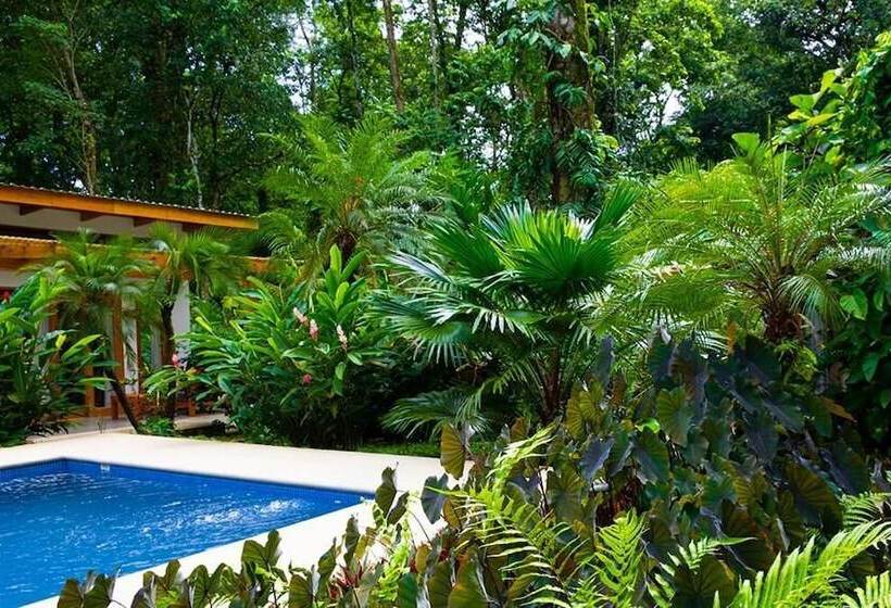 تختخواب و صبحانه La Paz Del Caribe