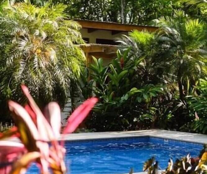 تختخواب و صبحانه La Paz Del Caribe