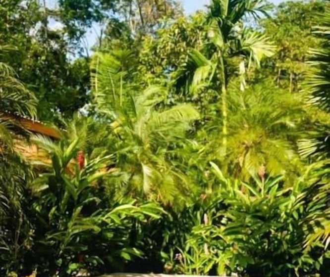 تختخواب و صبحانه La Paz Del Caribe