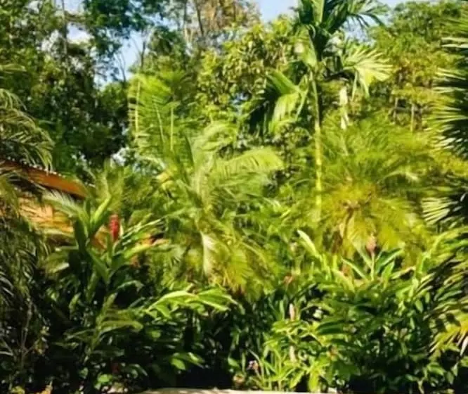 Aamiaismajoitus (B&B) La Paz Del Caribe