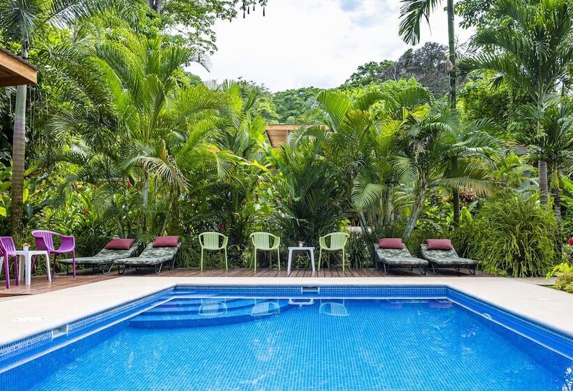 تختخواب و صبحانه La Paz Del Caribe