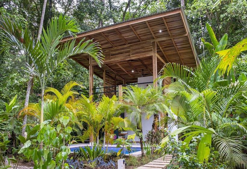 تختخواب و صبحانه La Paz Del Caribe