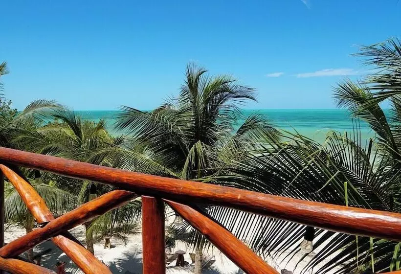 ホテル Choby's House Holbox