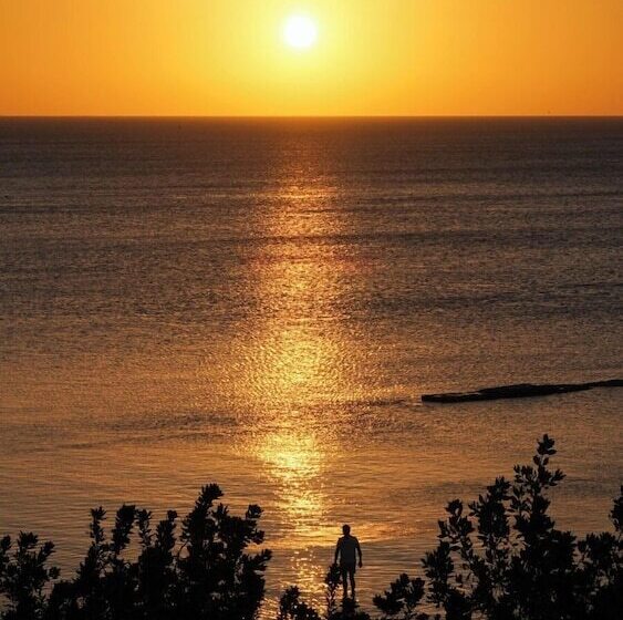 هتل Choby's House Holbox