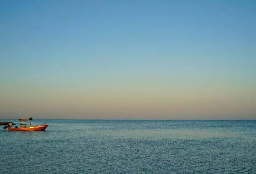 ホテル Choby's House Holbox