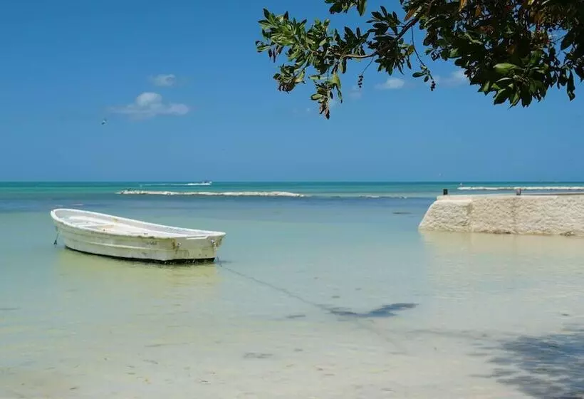 ホテル Choby's House Holbox