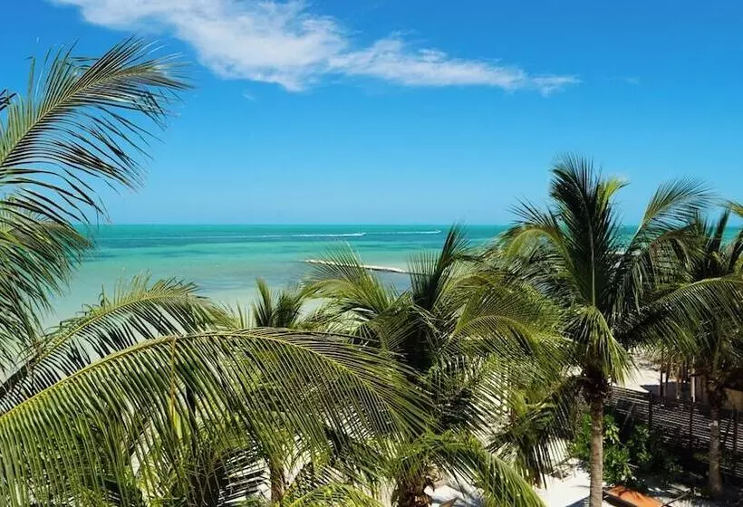 ホテル Choby's House Holbox