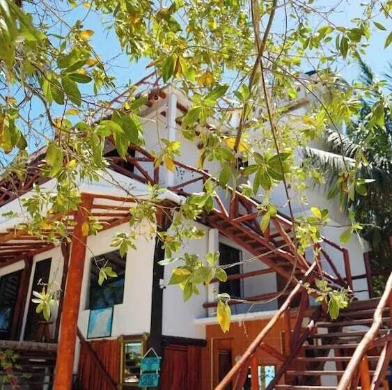 ホテル Choby's House Holbox