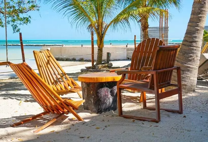 ホテル Choby's House Holbox
