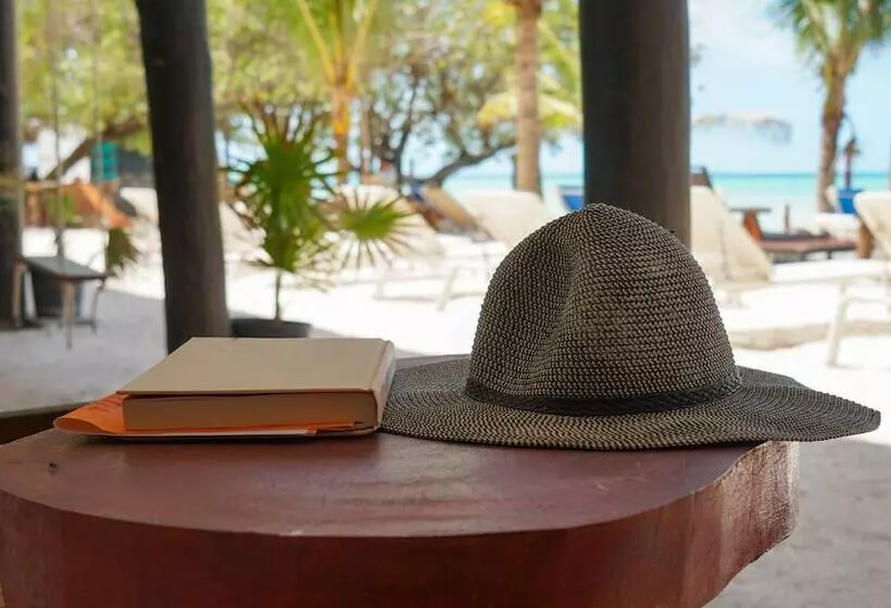 ホテル Choby's House Holbox