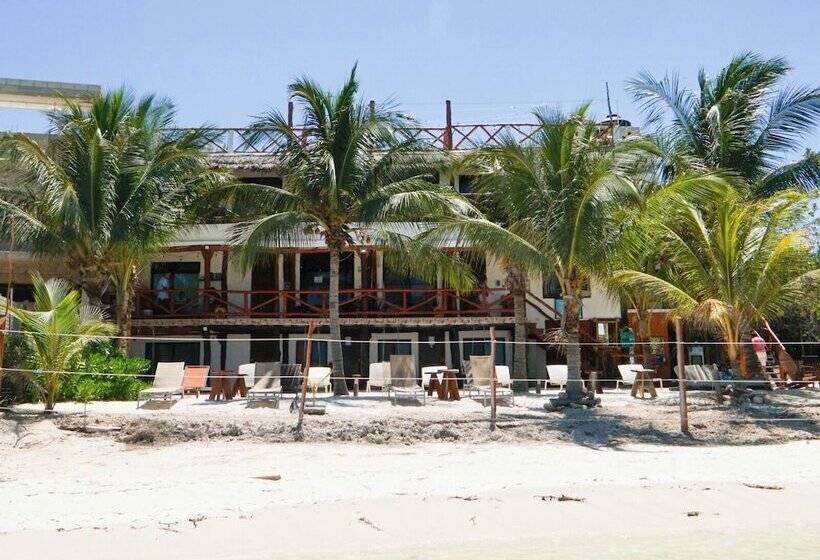 هتل Choby's House Holbox
