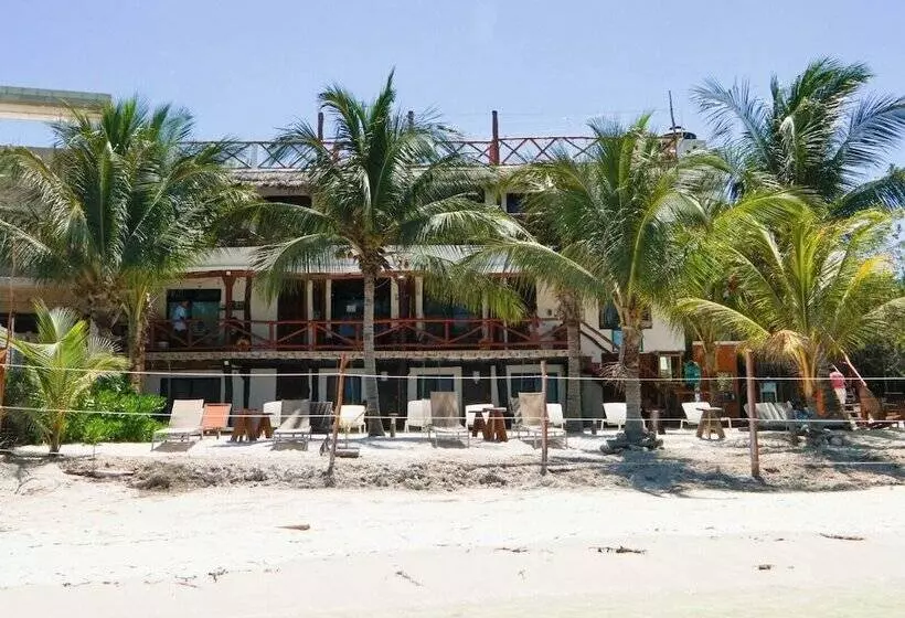 ホテル Choby's House Holbox
