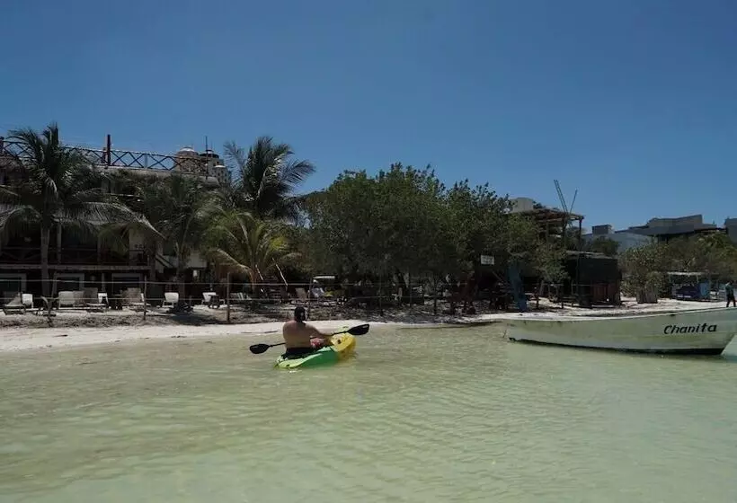 ホテル Choby's House Holbox