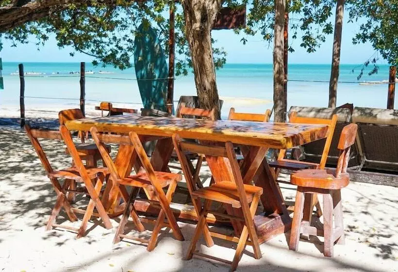 ホテル Choby's House Holbox