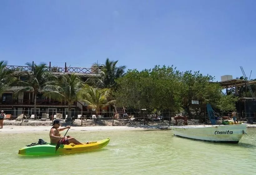ホテル Choby's House Holbox
