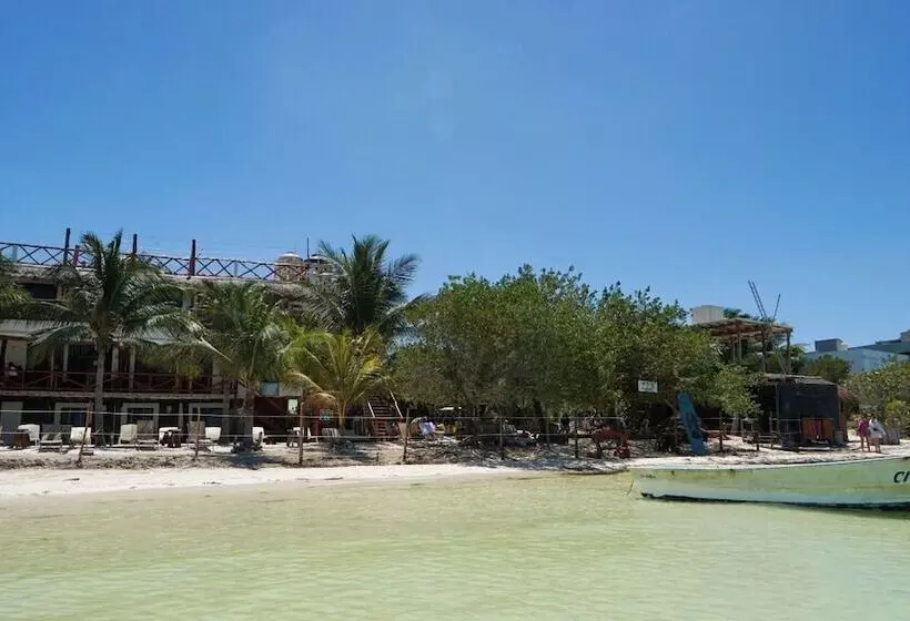 ホテル Choby's House Holbox
