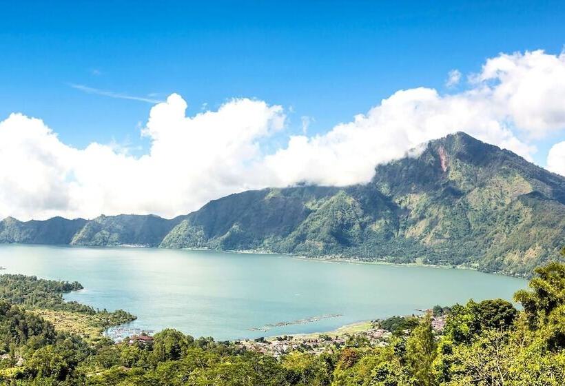 酒店 Kintamani Paradise