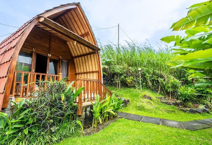 酒店 Kintamani Paradise