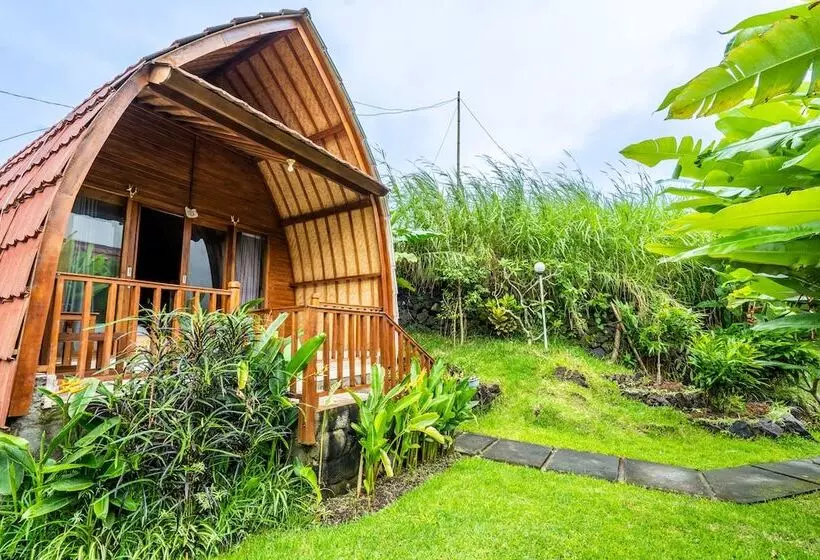 ホテル Kintamani Paradise