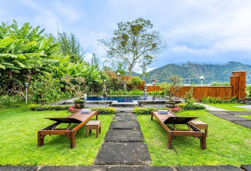 酒店 Kintamani Paradise