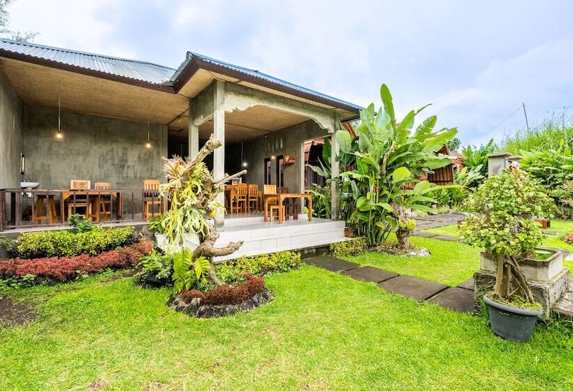 酒店 Kintamani Paradise