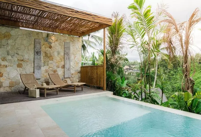 Hotelli Magical Jungle Resort And Spa