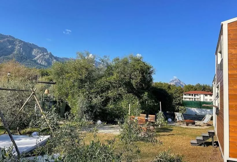 Mysa Kemer
