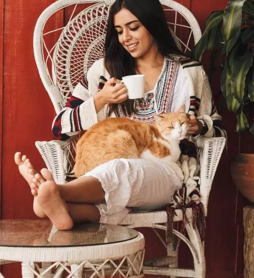 ペンション La Laguna Hostal