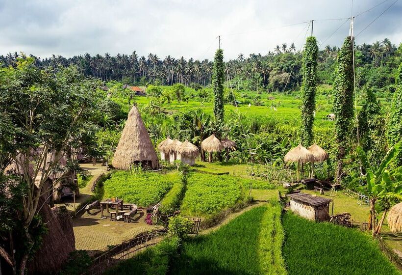 ペンション Maha Gangga Valley By Ecommerceloka