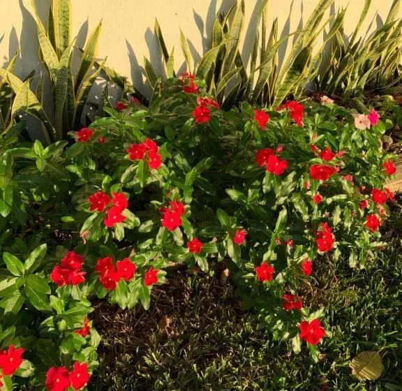 پانسیون Miami Private Guest House