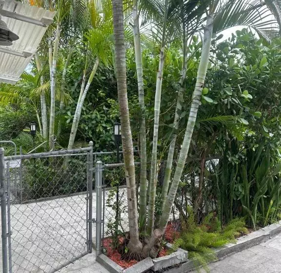 پانسیون Miami Private Guest House