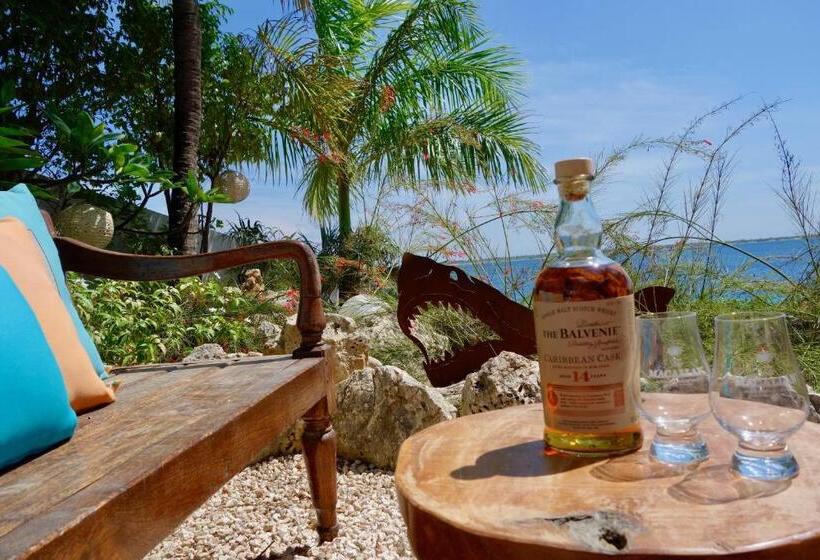 پانسیون The Laughing Seahorse