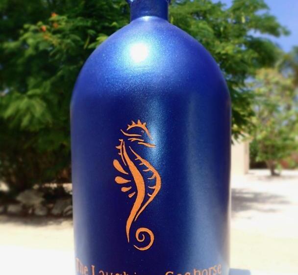 پانسیون The Laughing Seahorse