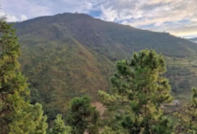 Awoo Resort Dirang