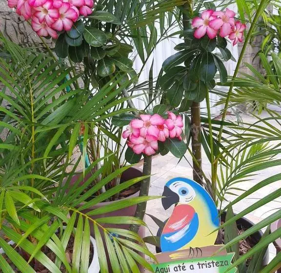 تختخواب و صبحانه Quartos Aconchegantes Prox Pelourinho, Metrô E Arena F Nova