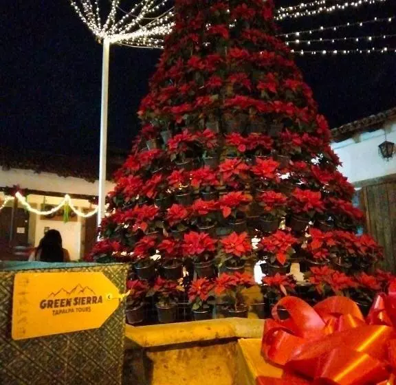 ホテル Bugamvillas Tapalpa