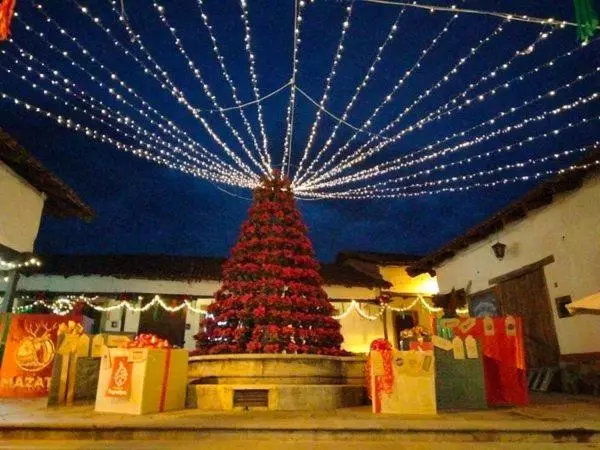 ホテル Bugamvillas Tapalpa