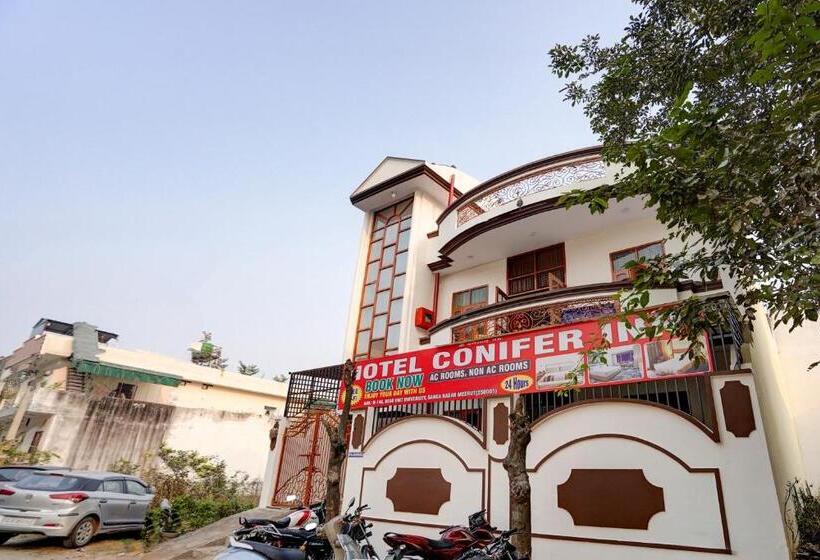 酒店 O Conifer Inn