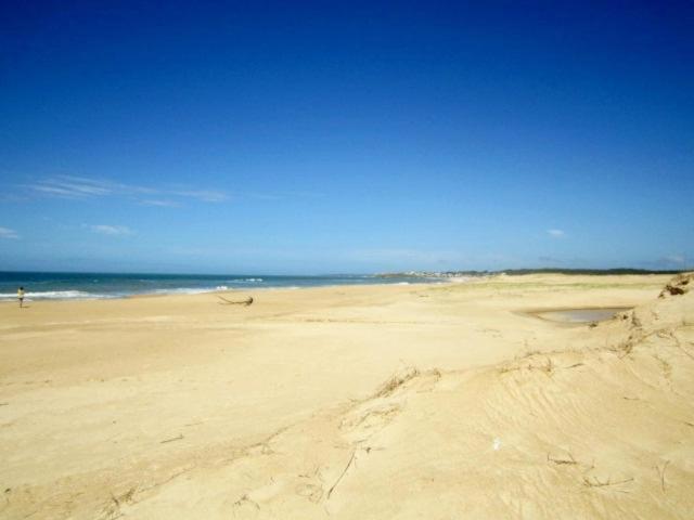 펜션 Rico Pino Eco Posada