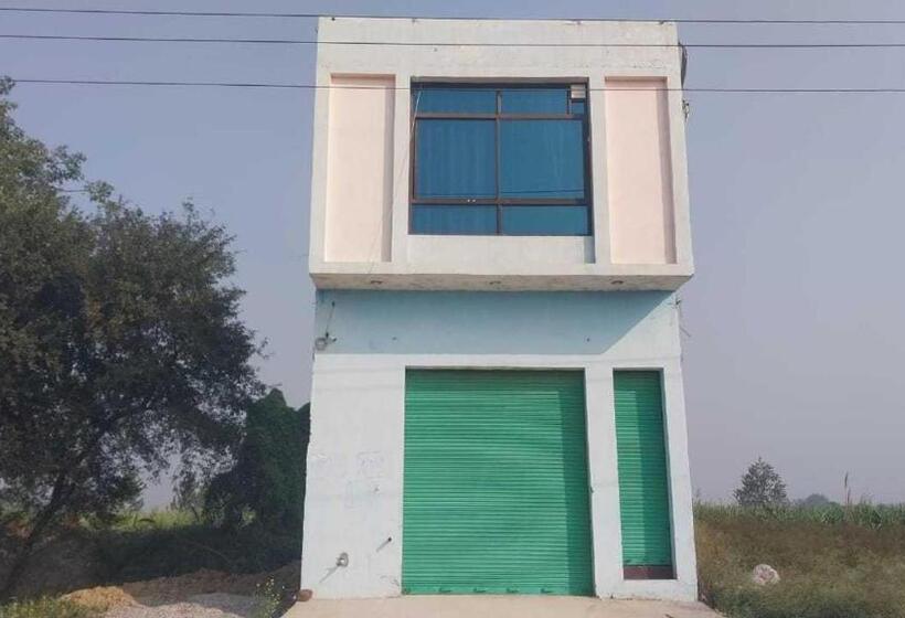 Oyo 8203 Hotel Moon Light